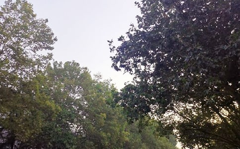 ���ڸ����簲�ʺ���40�侫ѡ