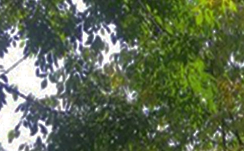 ��ܰ���簲΢���ʺ�����45��