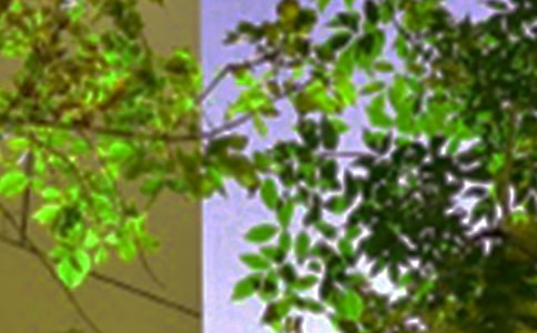 2023����ů���簲΢���ʺ��Ｏ��66��