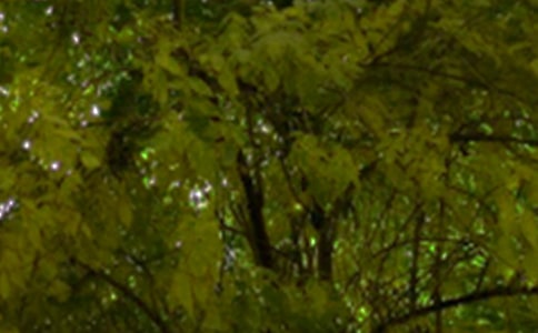 Ψ�����簲QQ�ʺ��Ｏ��35��