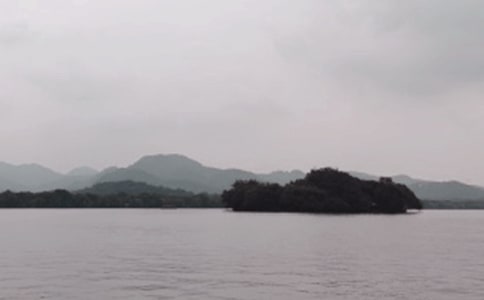 �������δ�(15ƪ)