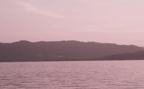 �����������δʼ���15ƪ