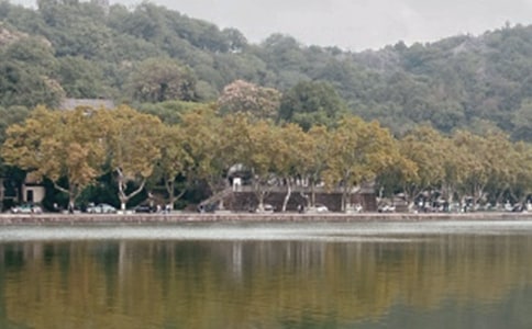 ����Ӣ�ĵ��δ�