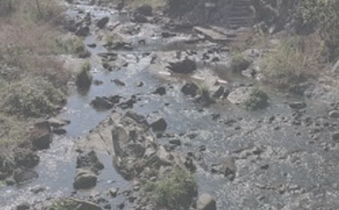 ��СϪ���ĸ衷�����8ƪ