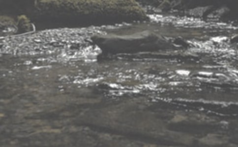 ��СϪ���ĸ衷�Ľ̰�