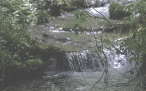 ��СϪ���ĸ衷�����