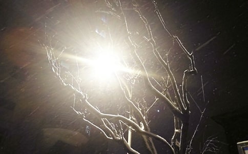 ��ѩ���Ի���50��