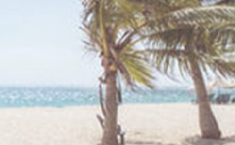 ���ܹ����ļ���������ܽ�