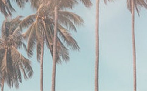 夏季节约用电倡议书