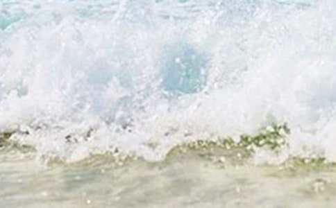 ����˵˵���ԣ���ѡ30�䣩