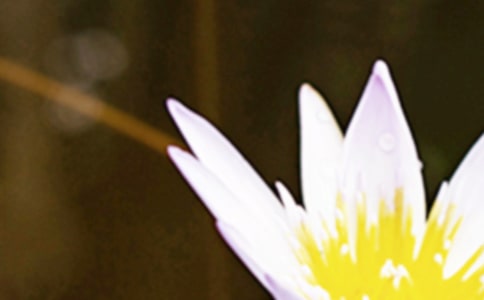 2024�������ʺ���ժ¼48��