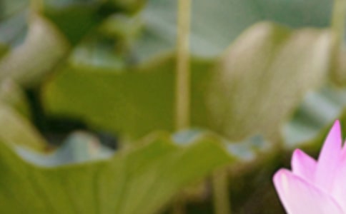 �����ʺ���44��