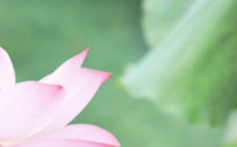 �����ʺ���40��