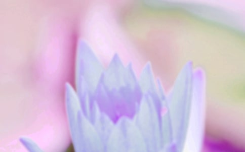 夏至时节的温馨祝福语