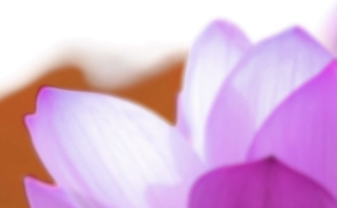 ����ף���ʺ���ϼ���10ƪ��