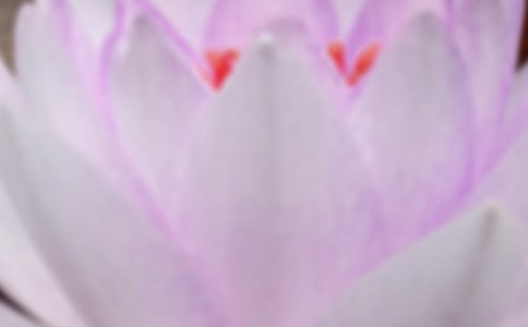 ������������̰�����ѡ14ƪ��