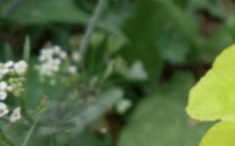 �����ʺ���45��