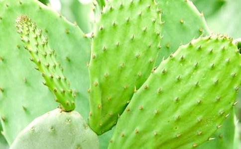 �������ơ��̰�