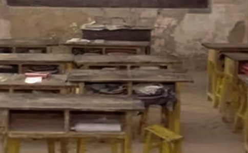 ���Сѧ�����ܽ�