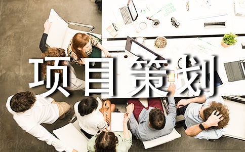 项目策划书模板