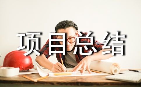 年度项目总结15篇