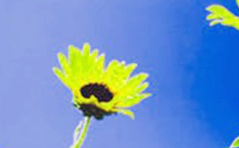 ��ңԶ�����տ��ء�����С����š�