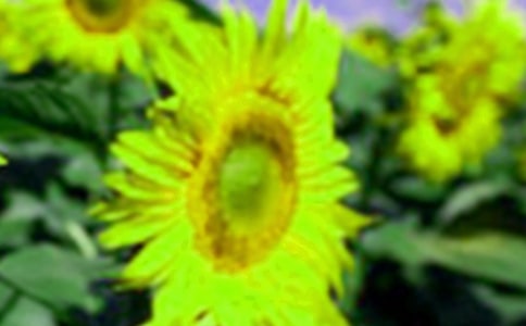 �а�̰������տ�14ƪ