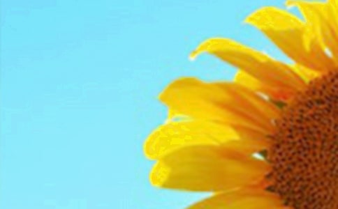 ��ңԶ�����տ��ء������