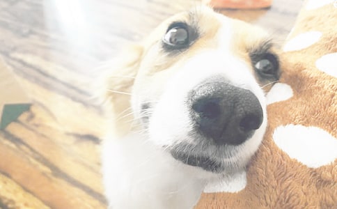 [��ѡ]��С��ǮǮ�������15ƪ