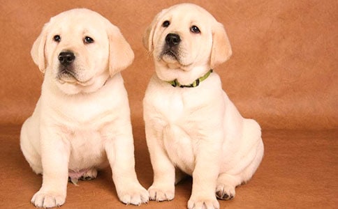 ��С����һ�졷�̰�