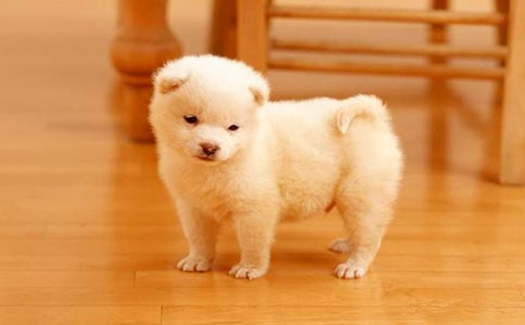 [��]С��ǮǮ�����15ƪ