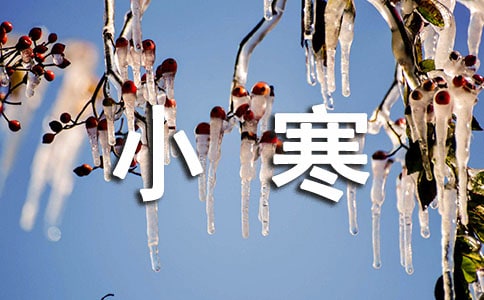 2024��С���ʺ���38��