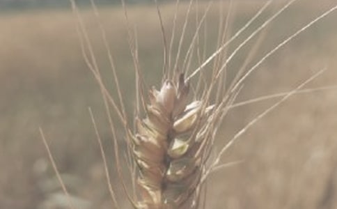 С������Э����