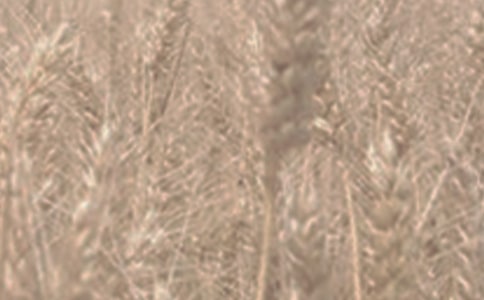 ����ѧ�̰�����ʶС��̰�����ѧ��˼