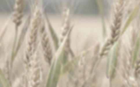 С���չ���ͬ