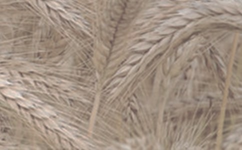 С������ͬ