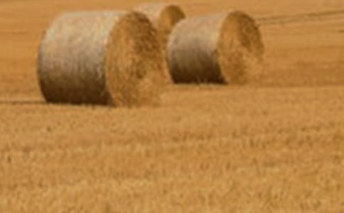 �а���ѧ�ڿ�ѧ�̰�����ֲС��