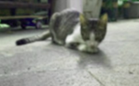 ��Сè�κ��ӡ��Ľ̰�