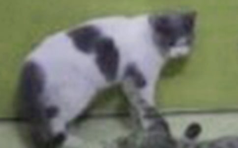 Сè���������9ƪ