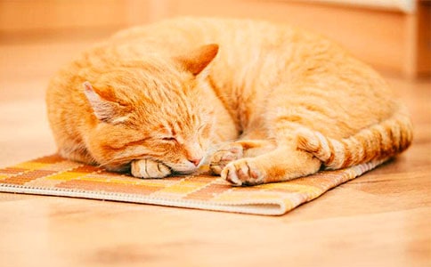 Сè�Ĺ��½�ѧ��˼