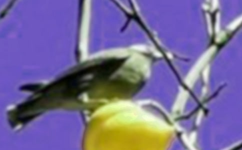 �����ֵ�С�񡷽̰�