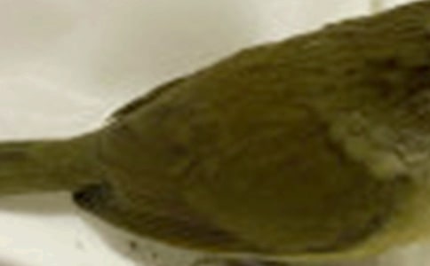 �м�ֻС���ѧ��˼