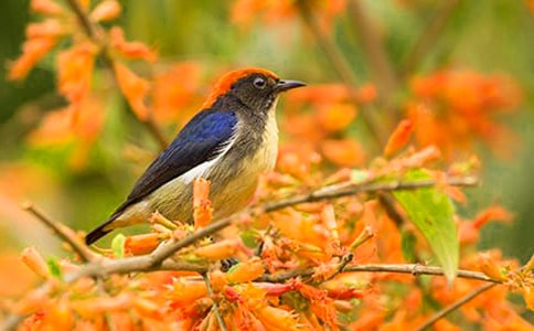 С�ࡶС��ļҡ����̰�