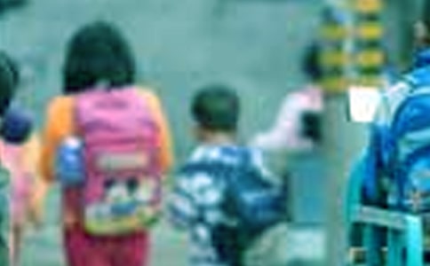 ����Сѧ���Ļ񽱸���