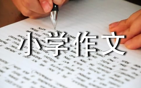 �����š����ҽ���Сѧ����