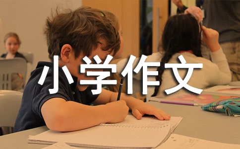 ��ͨ�á����ҽ���Сѧ����14ƪ