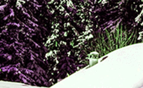 Сѩף����15ƪ