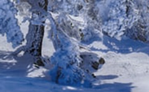 �а����Сѩ���̰�����ѡ18ƪ��