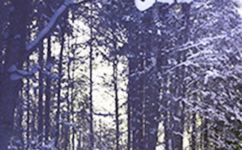 Сѩ�ʺ���220��