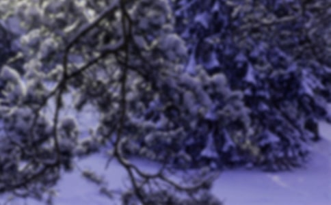 Сѩ�ʺ������37��